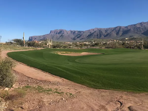 Gold Canyon, AZ 85118,9609 E TEE BOX Court #13