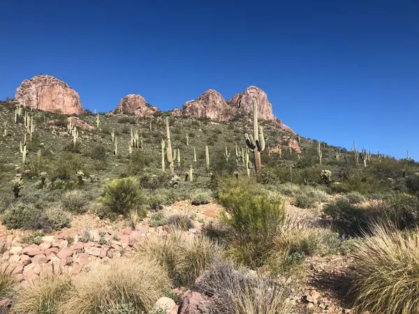 Gold Canyon, AZ 85118,9776 E DEAD SURE Place #11