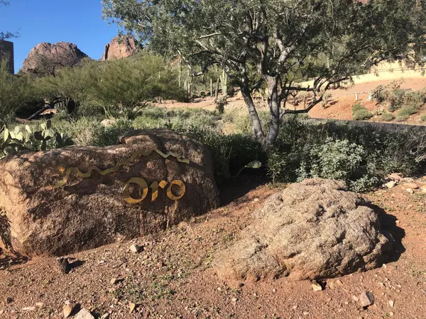 Gold Canyon, AZ 85118,9776 E DEAD SURE Place #11