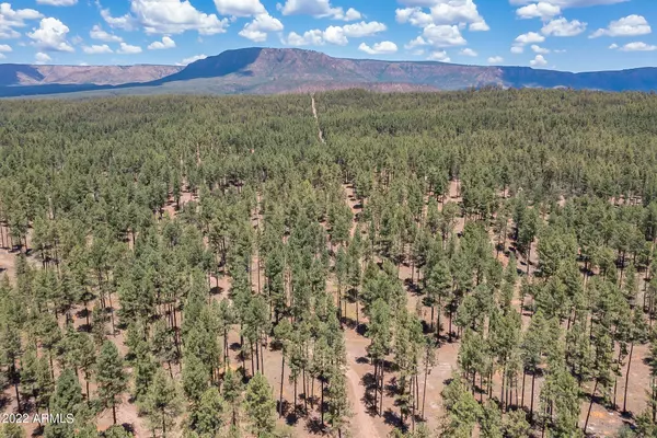 Payson, AZ 85541,91 N PONDEROSA Circle