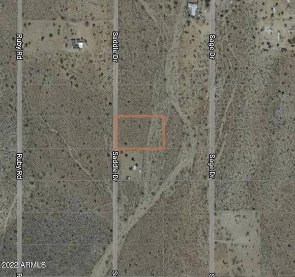 Dolan Springs, AZ 86441,17916 N Saddle Drive #403