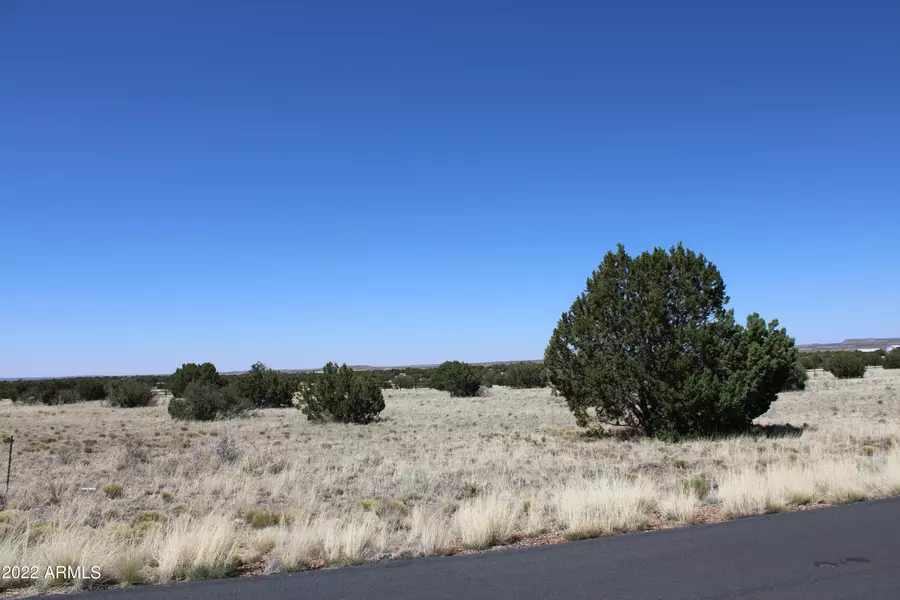 7668 Arroyo Plata Drive #9, Show Low, AZ 85901