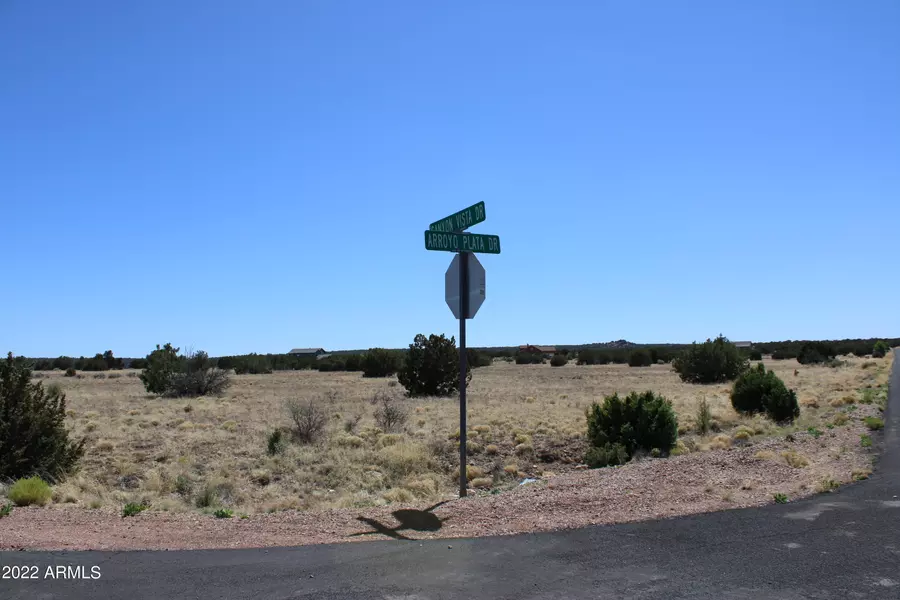 7709 Arroyo Plata Drive #39, Show Low, AZ 85901