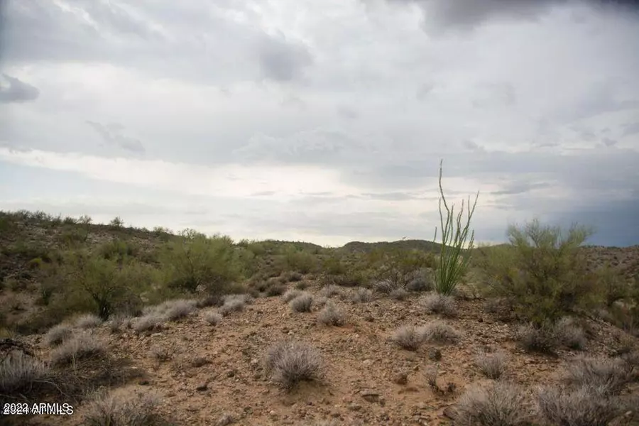 36325 S Scenic Loop 0 Road #-, Wickenburg, AZ 85390