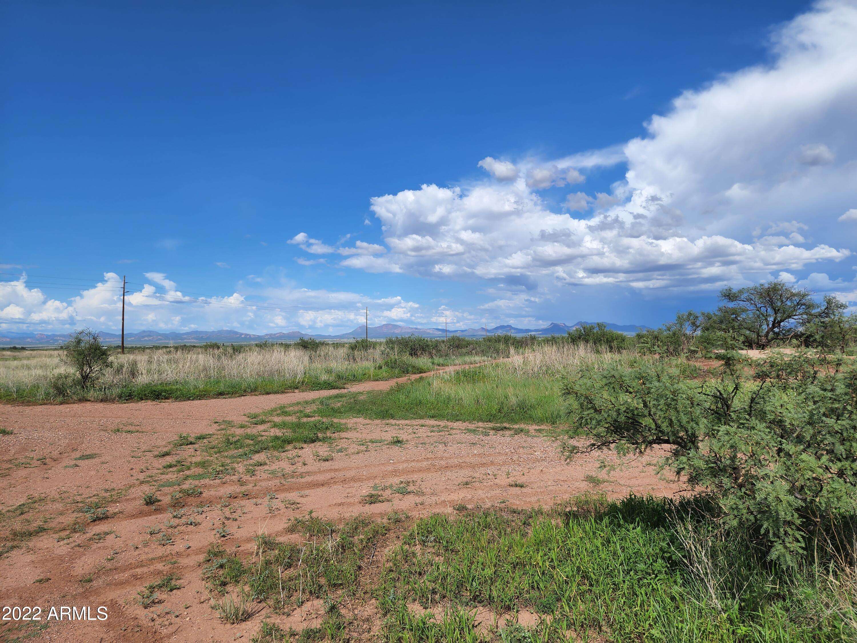 Douglas, AZ 85067,W Cochise College Drive -- #1230