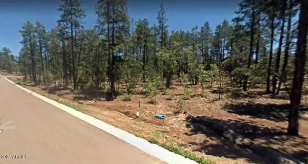 Pinetop, AZ 85929,0 Cedar Pine Lane #119