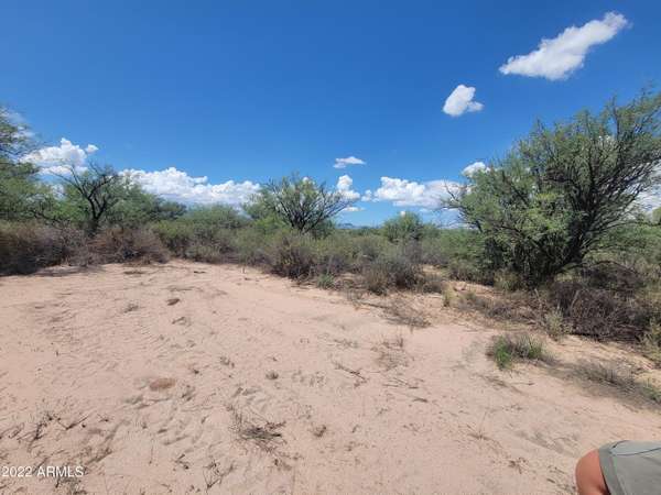 Benson, AZ 85602,1128 W Coyote Trail #-