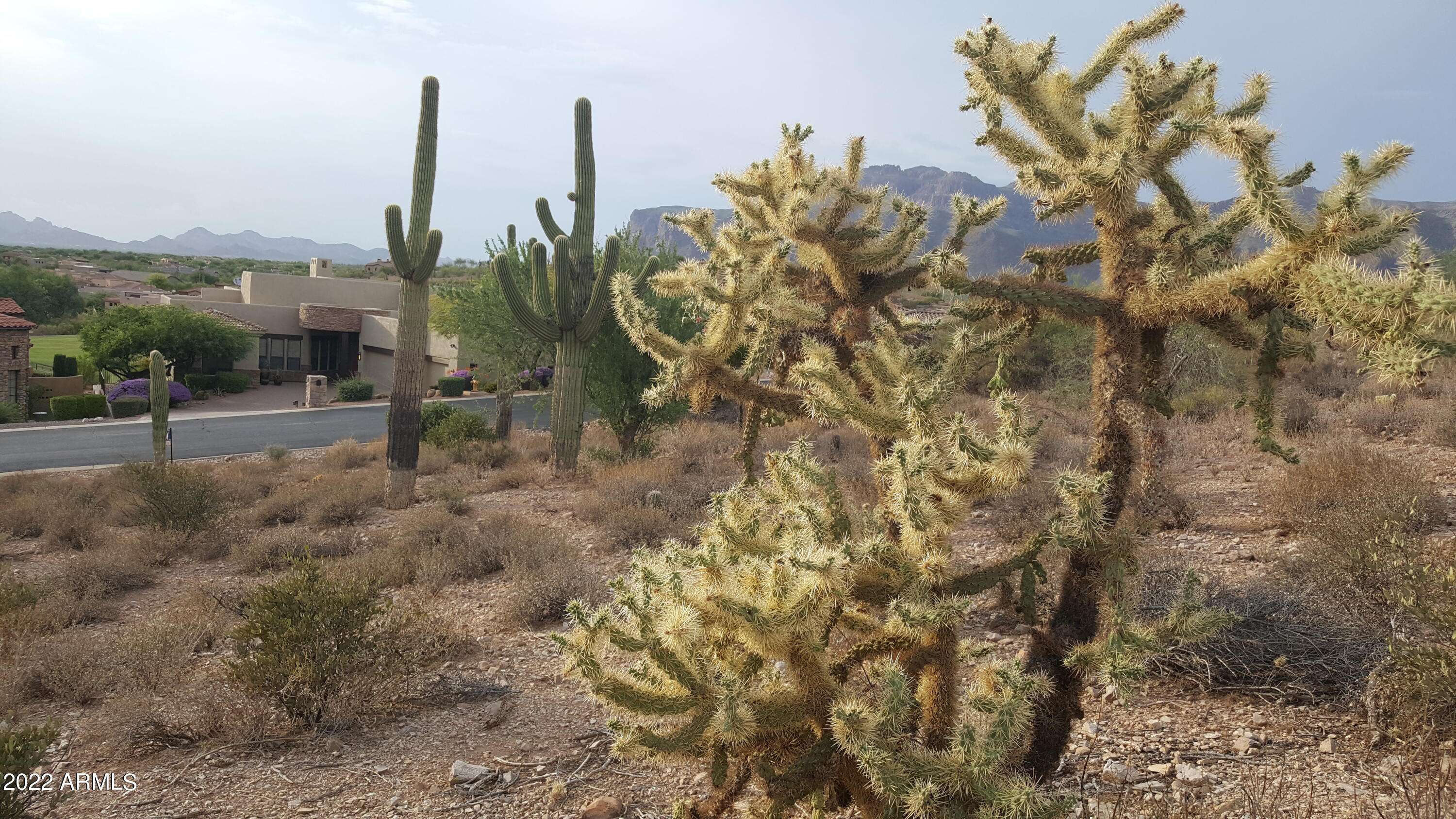Gold Canyon, AZ 85118,4013 S CAMINO DE VIDA -- #117