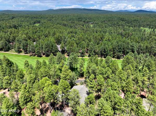 Pinetop, AZ 85935,3133 Woodpecker Lane