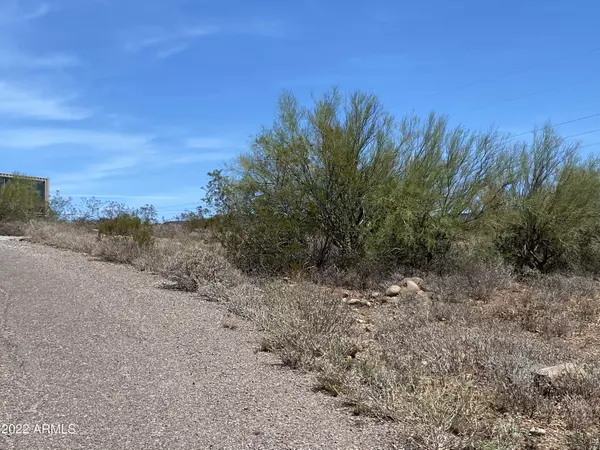 Black Canyon City, AZ 85324,33515 S RIDGEWAY Road #-