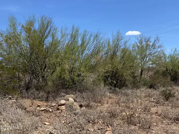 Black Canyon City, AZ 85324,33515 S RIDGEWAY Road #-