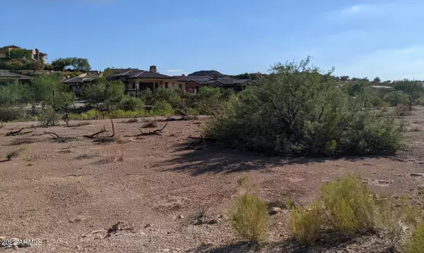 Gold Canyon, AZ 85118,9453 E THUNDER PASS Drive #46