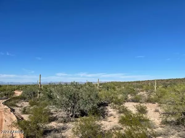 Florence, AZ 85132,16 Acres N of Old Florence-Kelvin Highway #-