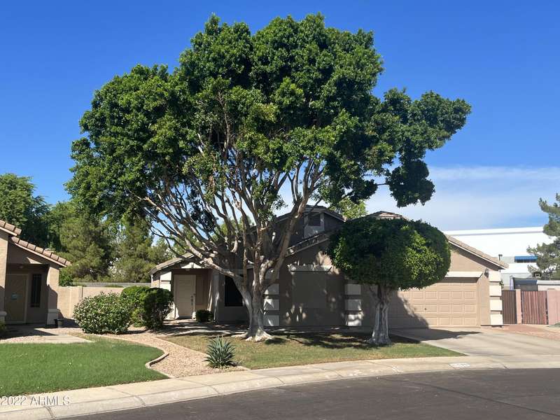 686 W MOORE Avenue, Gilbert, AZ 85233