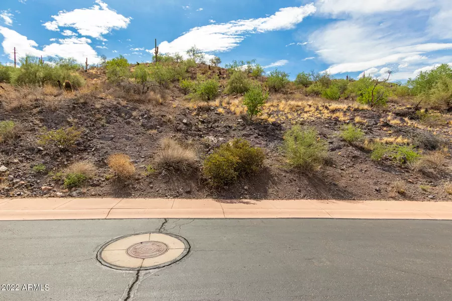 9130 N LAVA BLUFF Trail #14, Fountain Hills, AZ 85268