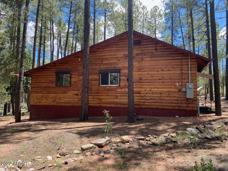 297 E Black Bear Trail, Payson, AZ 85541