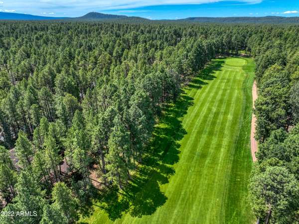 Pinetop, AZ 85935,3065 Aspen  Loop --