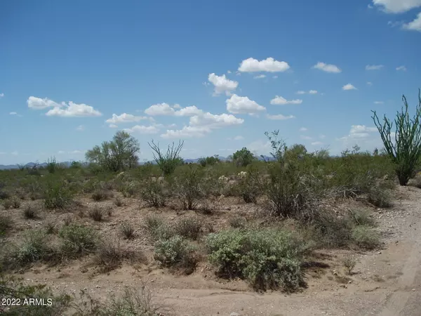 Unincorporated County, AZ 85390,34575 W Olesen Road #83