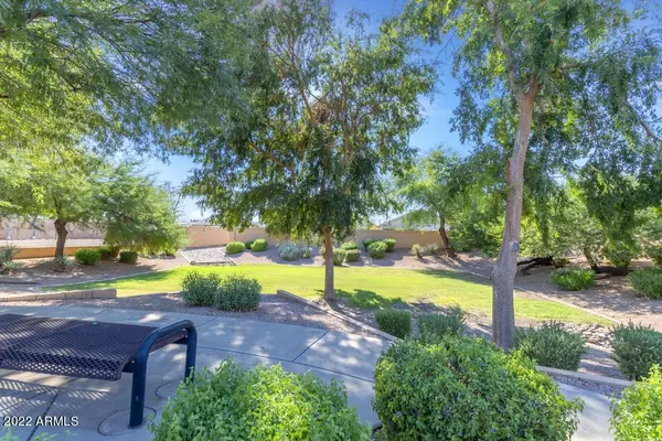 Chandler, AZ 85225,684 W MANOR Street