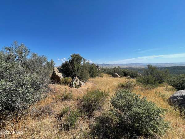 Wikieup, AZ 85360,0 Pheaby Drive #73