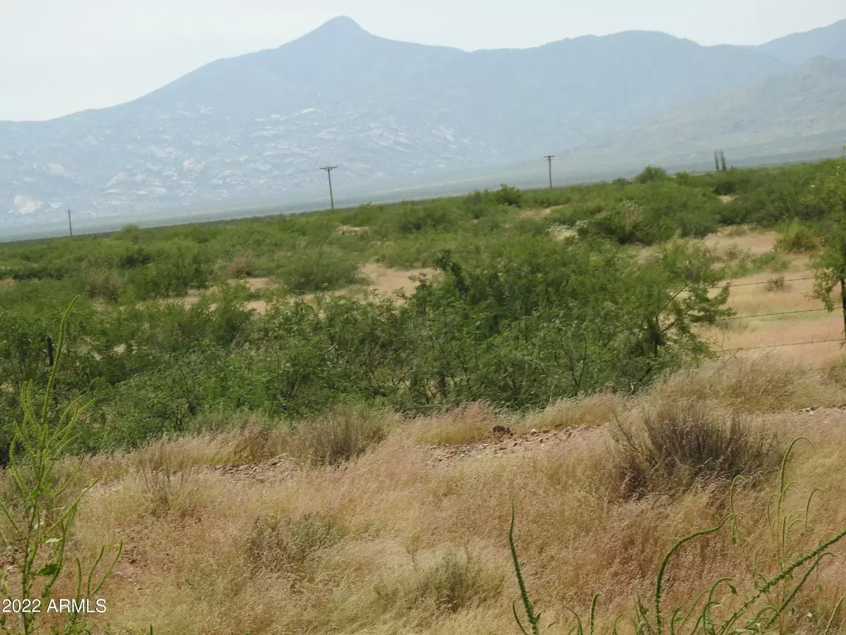 Bowie, AZ 85605,105 E Business Loop #-