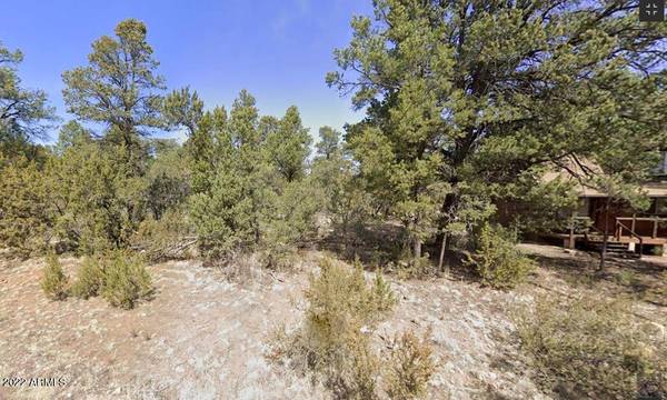 Overgaard, AZ 85933,2148 Forest Park Drive #129