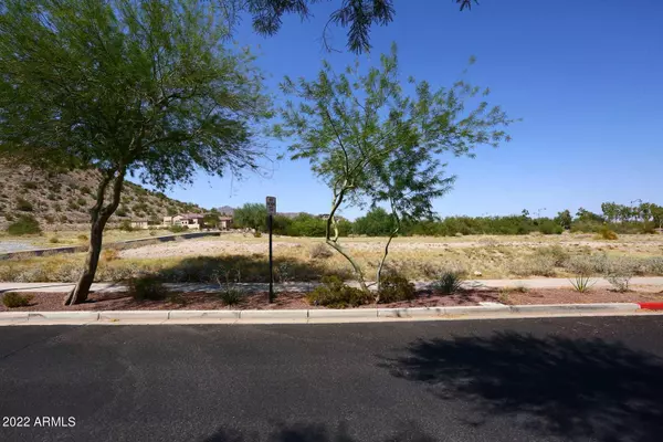 Buckeye, AZ 85396,20992 W CANYON Drive #67