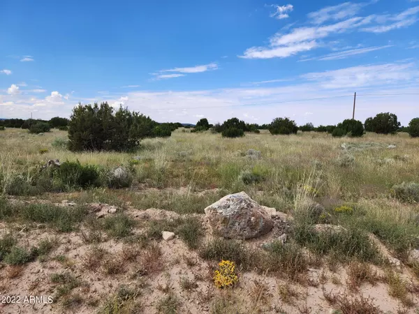 Concho, AZ 85924,110 Mesa Redondo Ranch Road #-