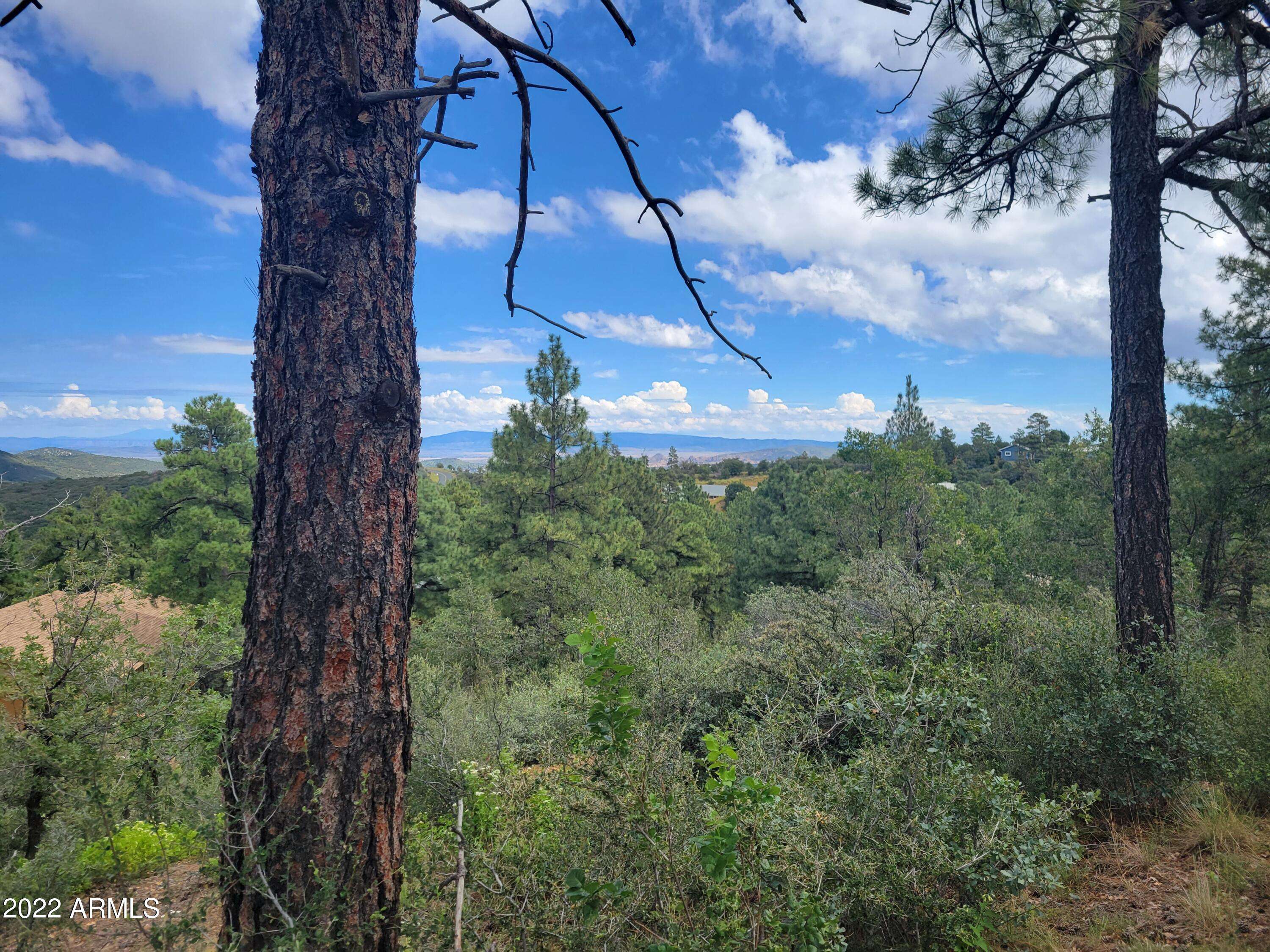 5910 W SLEEPY HOLLOW Drive #40, Prescott, AZ 86305