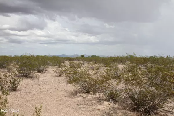Tonopah, AZ 85354,38939 W AVALON Drive #1223