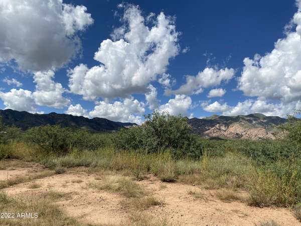 Pearce, AZ 85625,107 S Cochise Stronghold Road #-