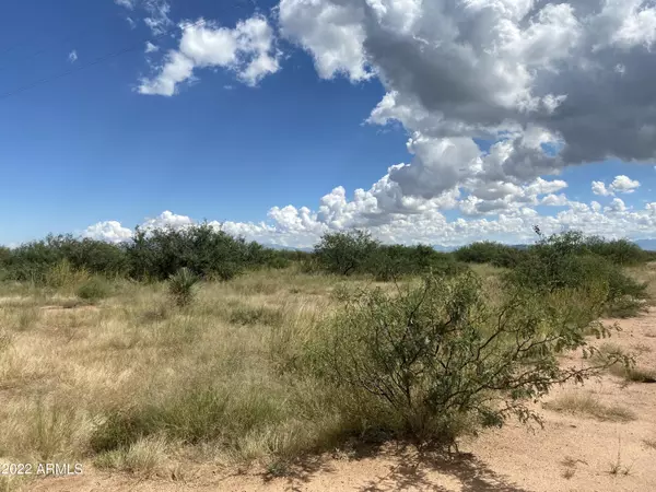 Pearce, AZ 85625,107 S Cochise Stronghold Road #-