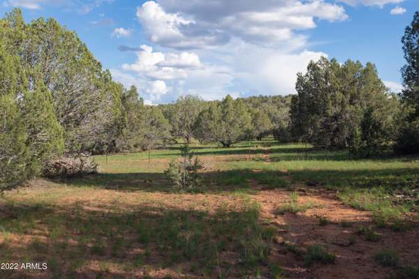 Ash Fork, AZ 86320,2076 ACRES  KIMLEE Road #39