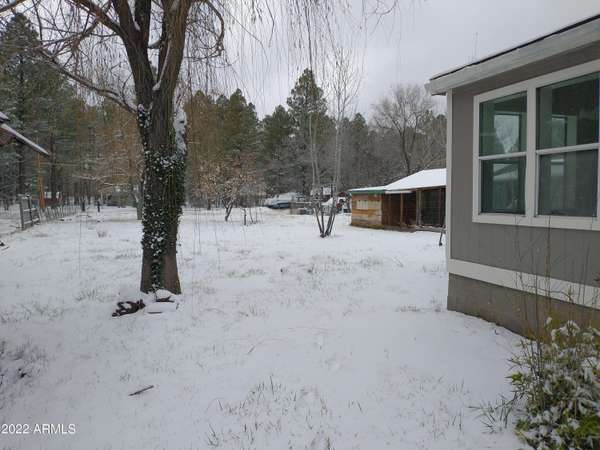 Pinetop-lakeside, AZ 85929,1018 S McCabe Lane