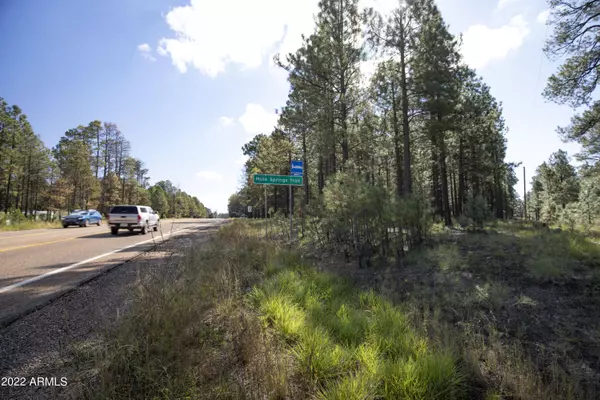 Forest Lakes, AZ 85931,764 MULE SPRINGS Trail #909