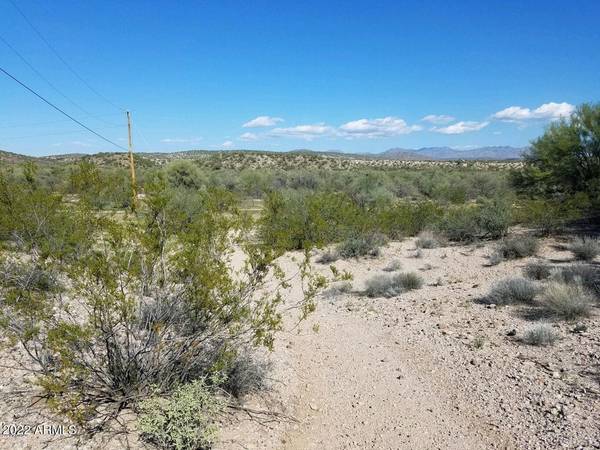 Wickenburg, AZ 85390,0 W GRANTHAM RANCH Road #0