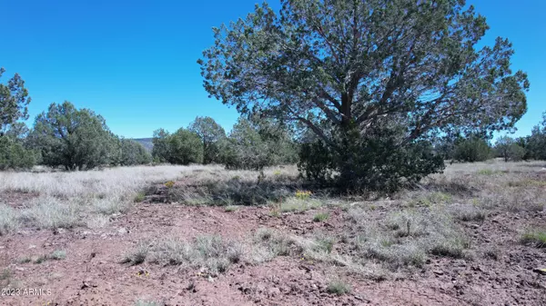 Williams, AZ 86046,1 W Terry Lane #-