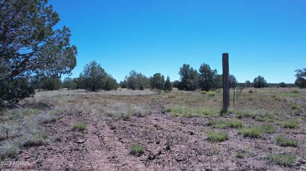 Williams, AZ 86046,2 W Terry Lane #-