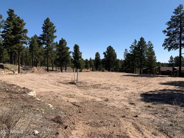 Flagstaff, AZ 86005,1717 E Bent Tree Circle #41