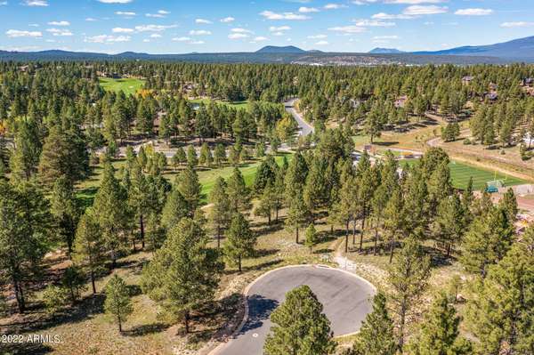 Flagstaff, AZ 86005,2911 S SOLITAIRES CANYON Drive #344