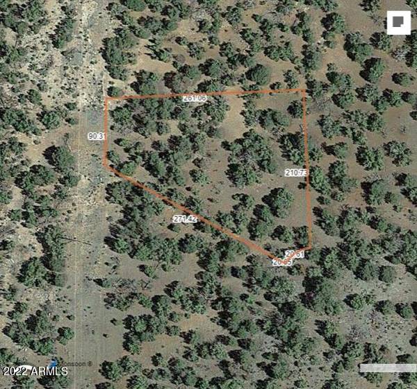 Williams, AZ 86046,131 E SNOWDRIFT Road #450