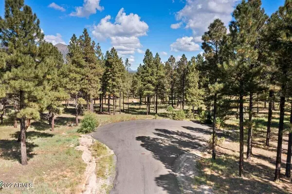 Flagstaff, AZ 86004,4870 E GANDALF Lane #7