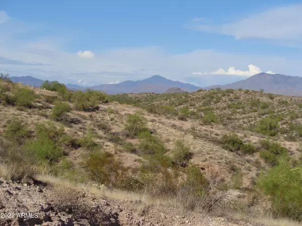 Fort Mcdowell, AZ 85264,13921 N White Face Canyon Drive #8-X