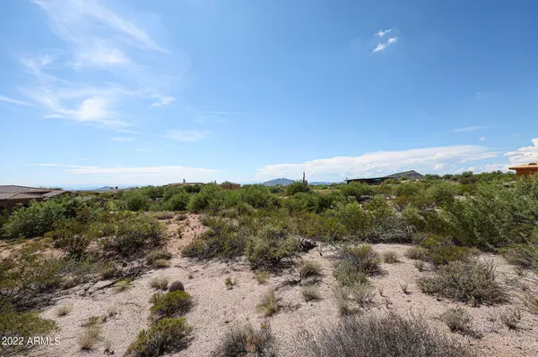 Scottsdale, AZ 85262,39002 N 110th Street #5
