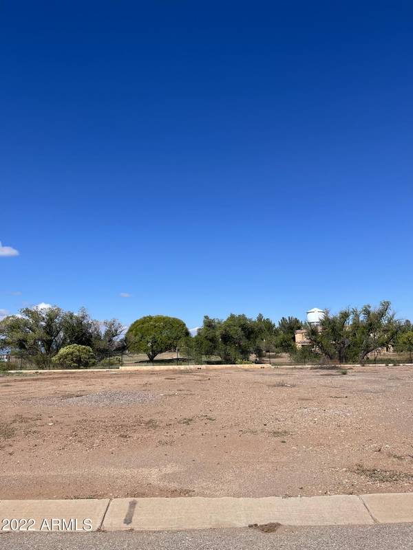 Douglas, AZ 85607,N Camino Chavinda -- #31