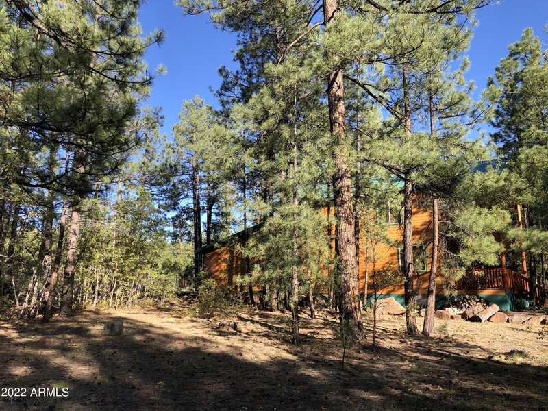 3531 BLACKSMITH Trail #50, Pinetop, AZ 85935