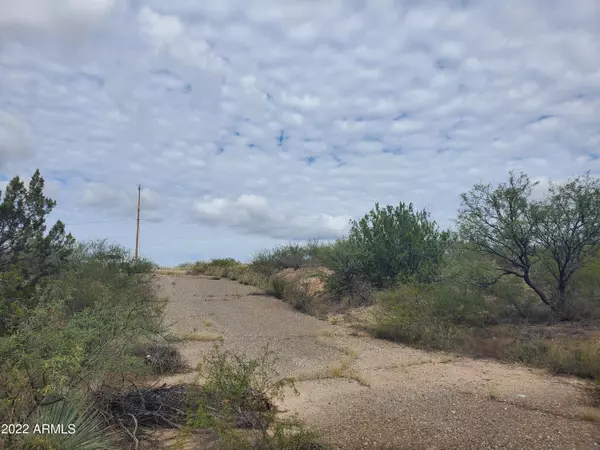 Rio Rico, AZ 85648,167 TREBOL Court #87