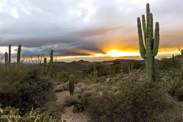 Cave Creek, AZ 85331,45011 N Cottonwood Canyon Road #-