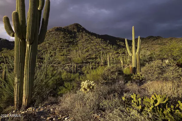 Cave Creek, AZ 85331,45011 N Cottonwood Canyon Road #-