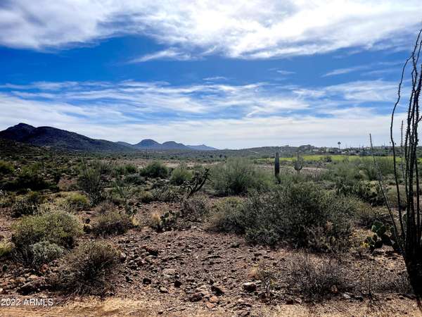 Queen Valley, AZ 85118,0 N Elephant Butte Road #-